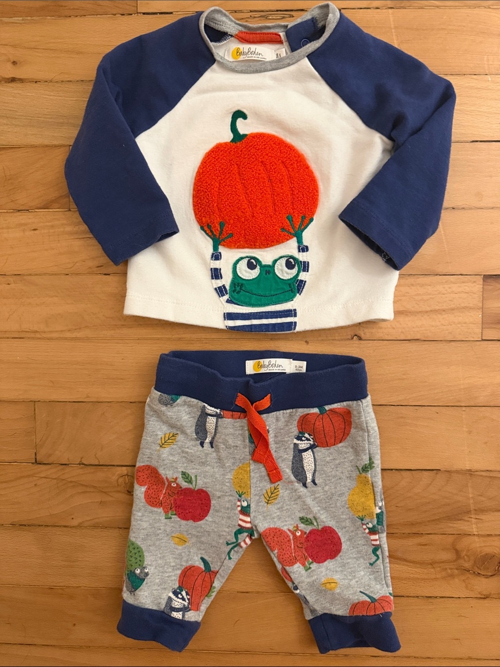 Baby Boden Navy & Gray Pumpkin Frog Sweatshirt and Printed Joggers Set
